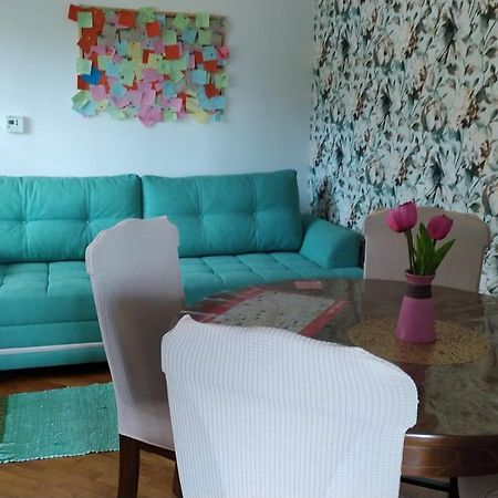 Apartman Sa Garazom I Internetom サラエヴォ エクステリア 写真