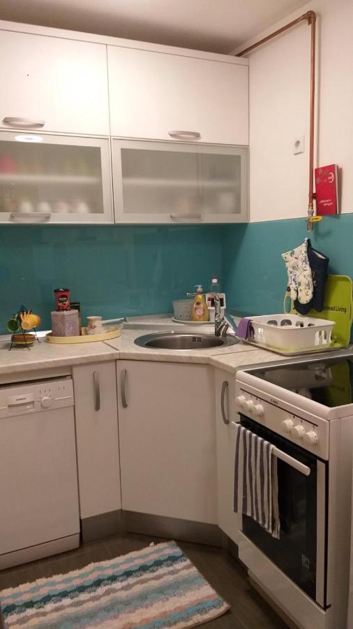 Apartman Sa Garazom I Internetom サラエヴォ エクステリア 写真